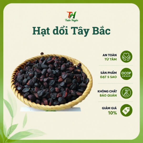 Hạt dổi Tây Bắc