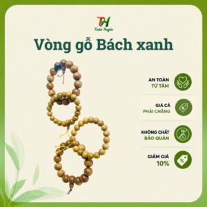 Vòng gỗ bách xanh 8li