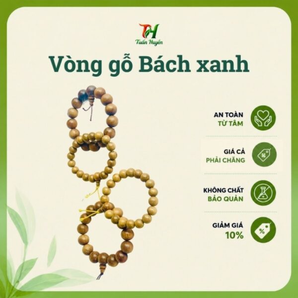 Vòng Gỗ Bách Xanh